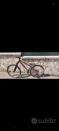 Dirt Jump / Pump track custom Viola metallizzato