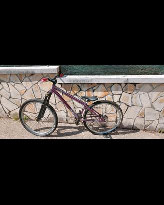 Dirt Jump / Pump track custom Viola metallizzato