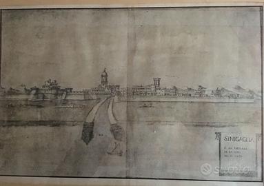 SENIGALLIA INCISIONE 1708