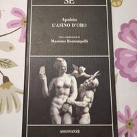 Apuleio Massimo Bontempelli SE Assonanze