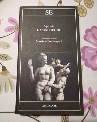 Apuleio Massimo Bontempelli SE Assonanze