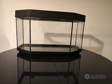 Vasca per acquario 