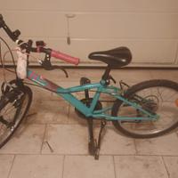 bicicletta 20 pollici 