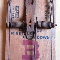 Trappole per topi antiche