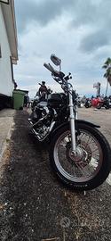 harley davidson sportster 1200 low
