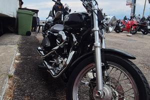 harley davidson sportster 1200 low