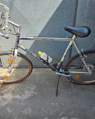 Mtb olympia