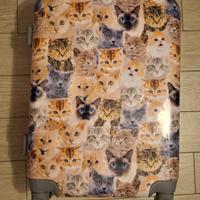 Trolley valigia bagaglio a mano