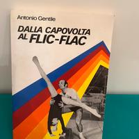 Dalla capovolta al flic-flac