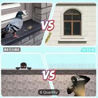 Punte diso repellenti per uccelli e piccioni 2,5 M