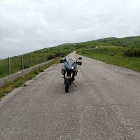Triumph Tiger - 2009