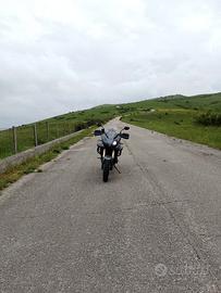 Triumph Tiger - 2009