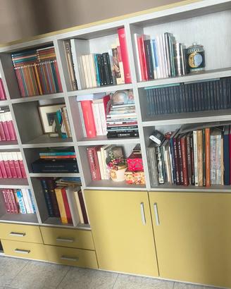 LIBRERIA IN LEGNO