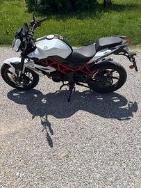 Benelli bn 125