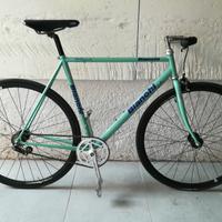 Bianchi acciaio 55cm