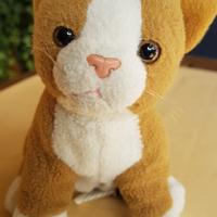 Gattino peluche che miagola