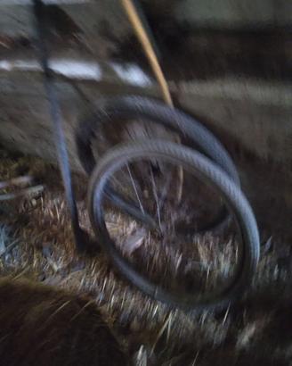 Asse e ruote a raggi per calesse