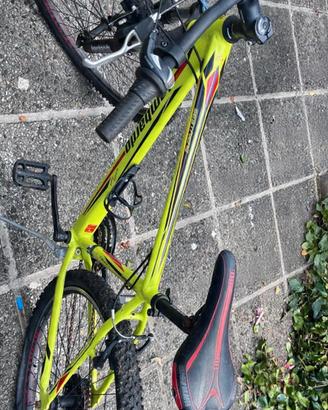 Bici Mountain bike 