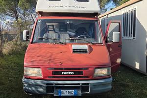 Camion trasporto cavalli 