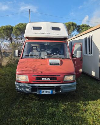 Camion trasporto cavalli 