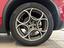 Immagine 8