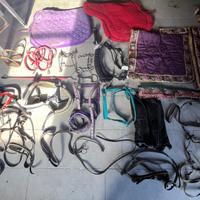 Attrezzatura equitazione
