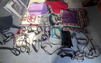 Attrezzatura equitazione