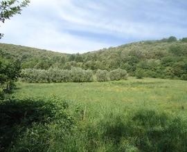 Terreno ai piedi della collina