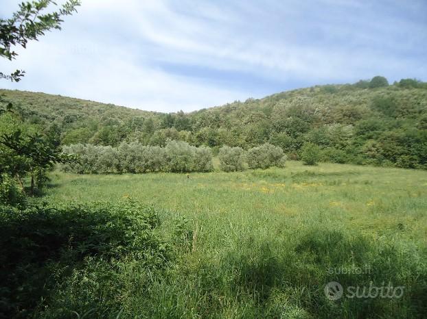 Terreno ai piedi della collina