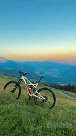 Specialized Enduro Carbon