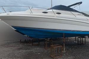 Sea Ray Sundancer 240 DA + Mercruiser 240 hp