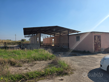 Capannone con casetta a Grazzanise via vaticale
