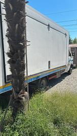 Iveco Furgone