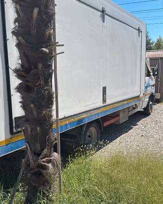 Iveco Furgone