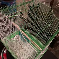 Gabbia uccellini completa