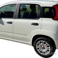 Porta posteriore sinistra Fiat Panda 3 serie