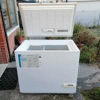 Congleatore Rex a pozzetto