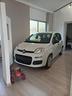 fiat-pandina-pandina-1-0-firefly-65-cv-hybrid-icon