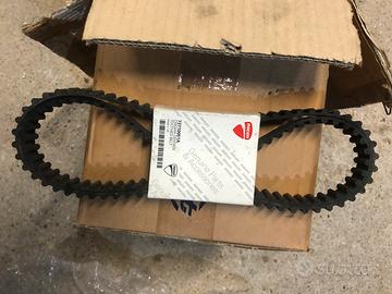 Cinghie distribuzione Ducati codice 73710051A