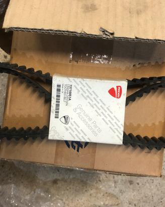 Cinghie distribuzione Ducati codice 73710051A