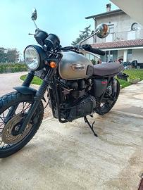 triumph t 100