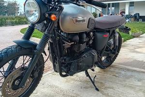 triumph t 100