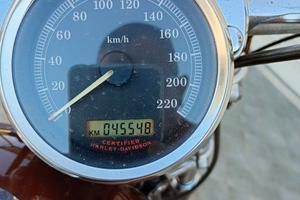 Harley-Davidson Sportster 1200 - 2006