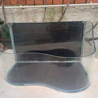 acquario aperto con pesce