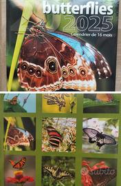 Butterflies 2025 Calendrier de 16 mois 30,50×28 cm