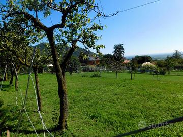 SOLUZIONE INDIPENDENTE CON AMPIO TERRENO