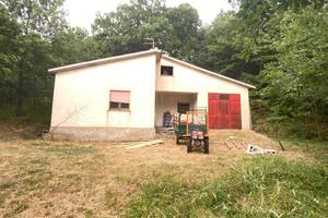 Immobile appartamento casa con terreno 100 mq