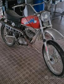 motorino 50