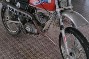 motorino 50