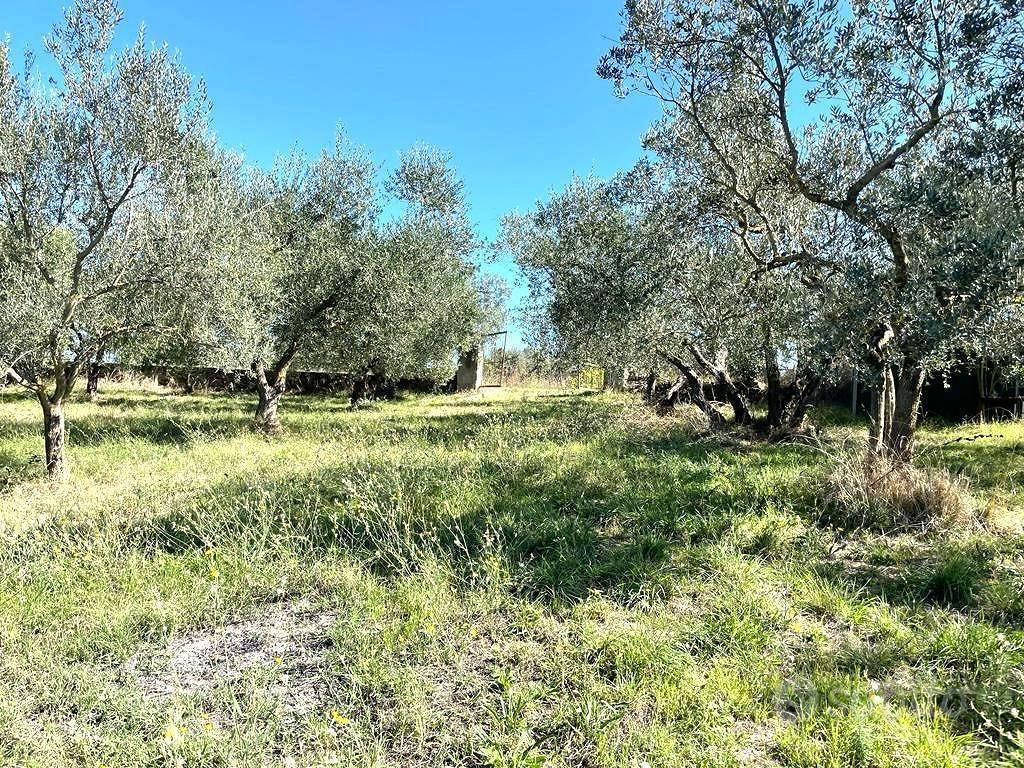 Terreno di 3500 m² a Viterbo - Vista 3